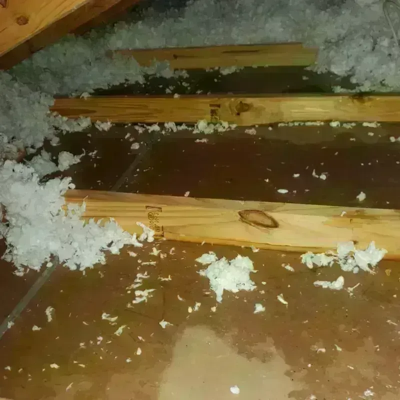 Attic Water Damage in Stanton, MI