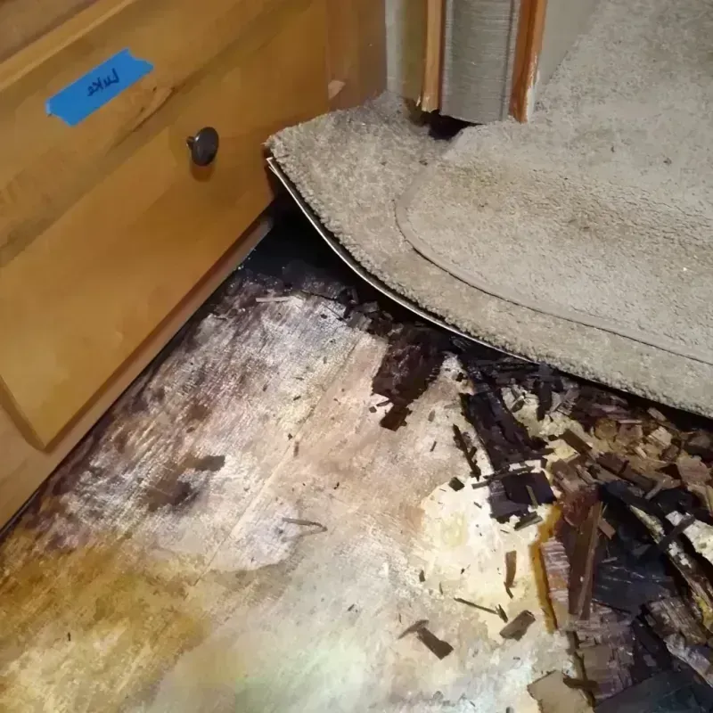 Wood Floor Water Damage in Stanton, MI